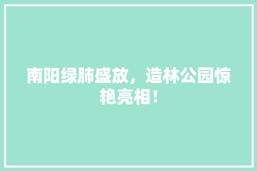 南阳绿肺盛放，造林公园惊艳亮相！