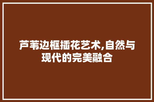 芦苇边框插花艺术,自然与现代的完美融合