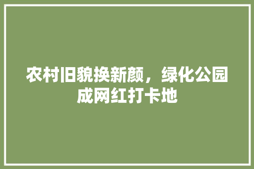 农村旧貌换新颜，绿化公园成网红打卡地