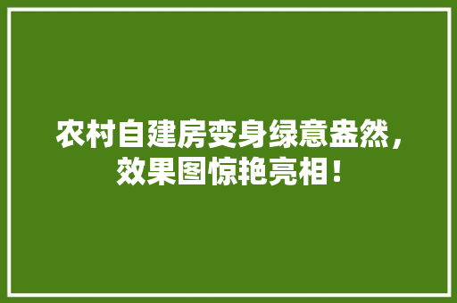 农村自建房变身绿意盎然，效果图惊艳亮相！