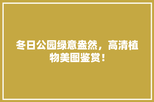 冬日公园绿意盎然，高清植物美图鉴赏！
