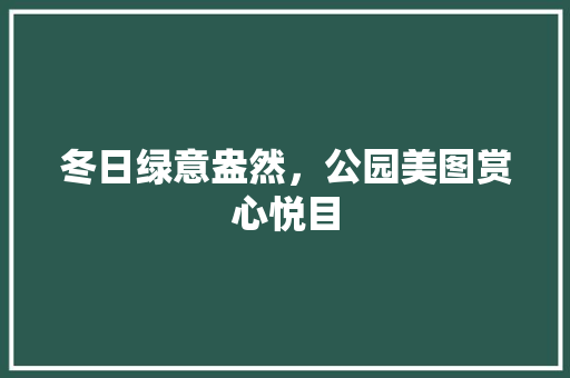 冬日绿意盎然，公园美图赏心悦目