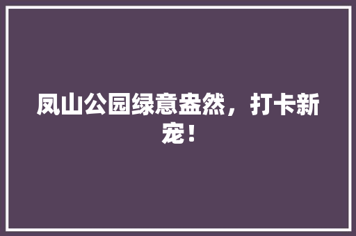 凤山公园绿意盎然，打卡新宠！