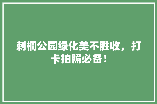 刺桐公园绿化美不胜收，打卡拍照必备！