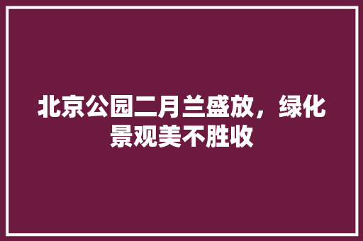 北京公园二月兰盛放，绿化景观美不胜收