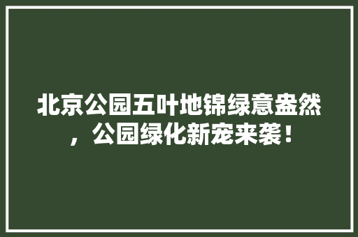 北京公园五叶地锦绿意盎然，公园绿化新宠来袭！