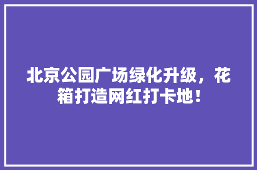 北京公园广场绿化升级，花箱打造网红打卡地！