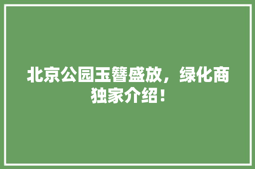 北京公园玉簪盛放，绿化商独家介绍！