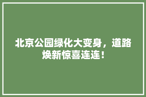 北京公园绿化大变身，道路焕新惊喜连连！