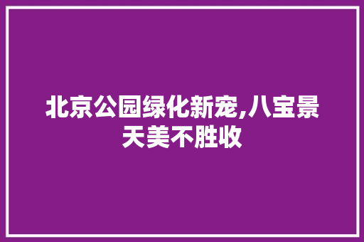 北京公园绿化新宠,八宝景天美不胜收