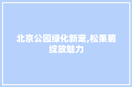 北京公园绿化新宠,松果菊绽放魅力