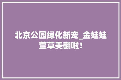 北京公园绿化新宠_金娃娃萱草美翻啦！