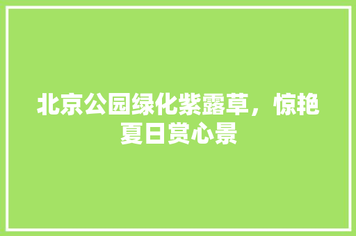 北京公园绿化紫露草，惊艳夏日赏心景