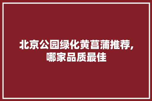 北京公园绿化黄菖蒲推荐,哪家品质最佳