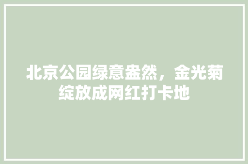 北京公园绿意盎然，金光菊绽放成网红打卡地