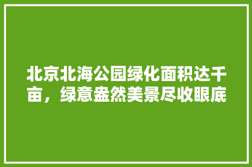 北京北海公园绿化面积达千亩，绿意盎然美景尽收眼底