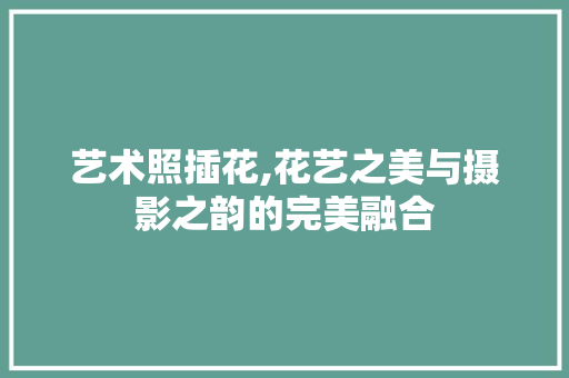 艺术照插花,花艺之美与摄影之韵的完美融合