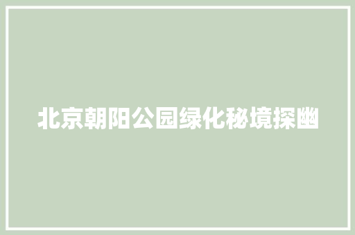 北京朝阳公园绿化秘境探幽