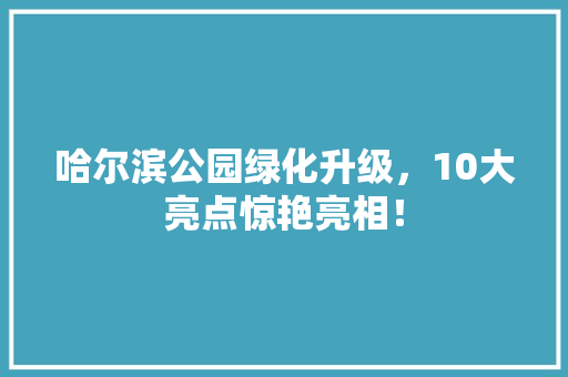 哈尔滨公园绿化升级，10大亮点惊艳亮相！