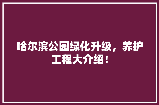 哈尔滨公园绿化升级，养护工程大介绍！