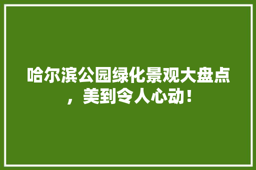 哈尔滨公园绿化景观大盘点，美到令人心动！