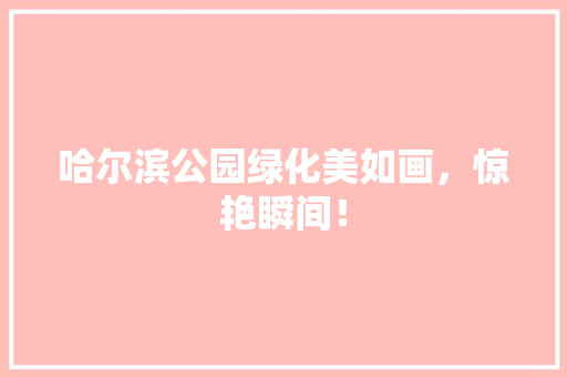 哈尔滨公园绿化美如画，惊艳瞬间！
