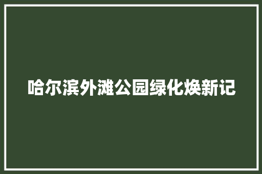 哈尔滨外滩公园绿化焕新记