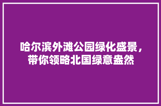 哈尔滨外滩公园绿化盛景，带你领略北国绿意盎然