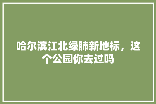 哈尔滨江北绿肺新地标，这个公园你去过吗