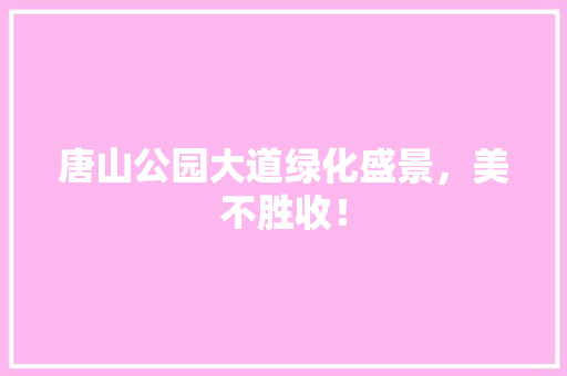 唐山公园大道绿化盛景，美不胜收！