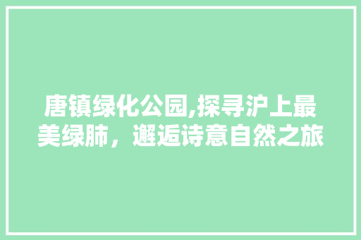 唐镇绿化公园,探寻沪上最美绿肺，邂逅诗意自然之旅