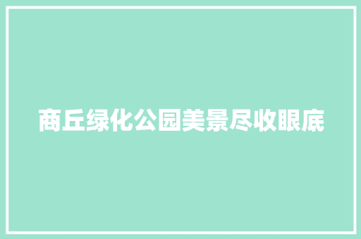 商丘绿化公园美景尽收眼底