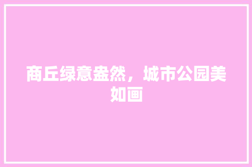 商丘绿意盎然，城市公园美如画 林木育苗