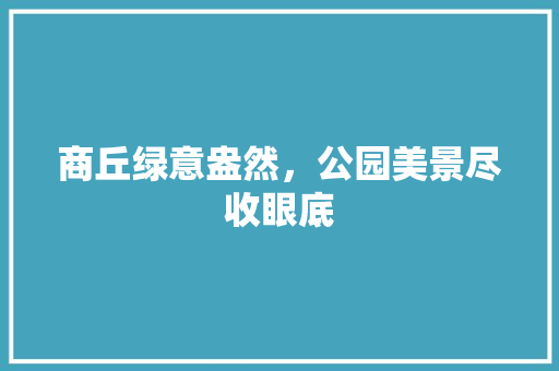 商丘绿意盎然，公园美景尽收眼底