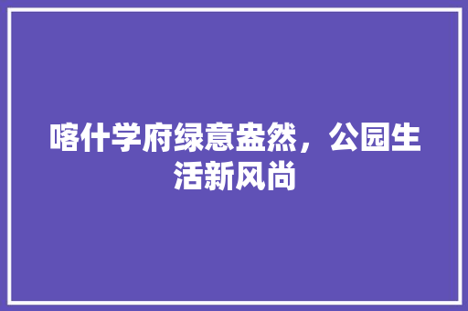 喀什学府绿意盎然，公园生活新风尚