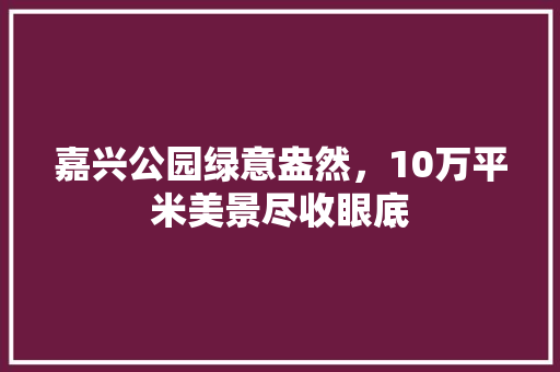 嘉兴公园绿意盎然，10万平米美景尽收眼底