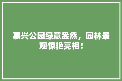 嘉兴公园绿意盎然，园林景观惊艳亮相！