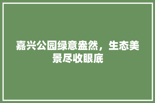 嘉兴公园绿意盎然，生态美景尽收眼底