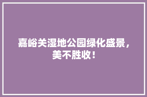 嘉峪关湿地公园绿化盛景，美不胜收！