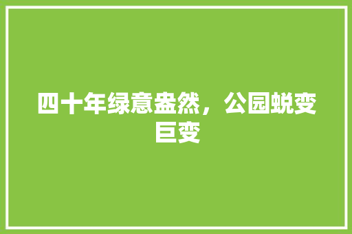 四十年绿意盎然，公园蜕变巨变