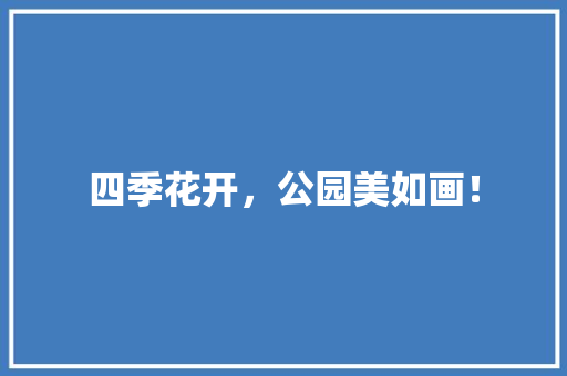 四季花开，公园美如画！