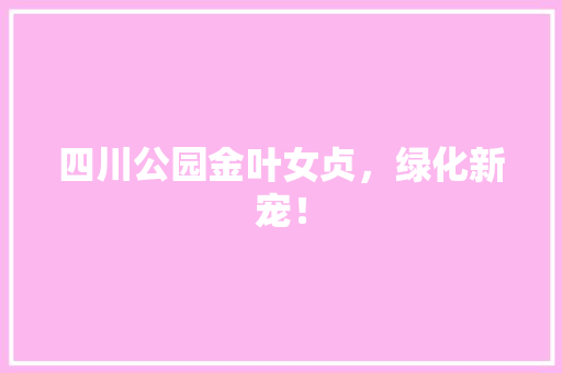 四川公园金叶女贞，绿化新宠！
