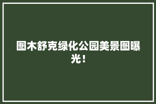 图木舒克绿化公园美景图曝光！