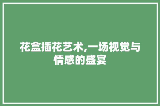 花盒插花艺术,一场视觉与情感的盛宴