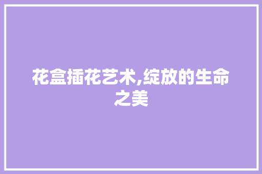 花盒插花艺术,绽放的生命之美