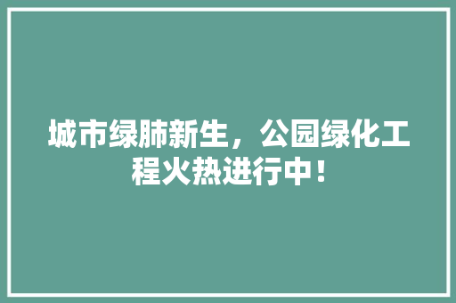城市绿肺新生，公园绿化工程火热进行中！