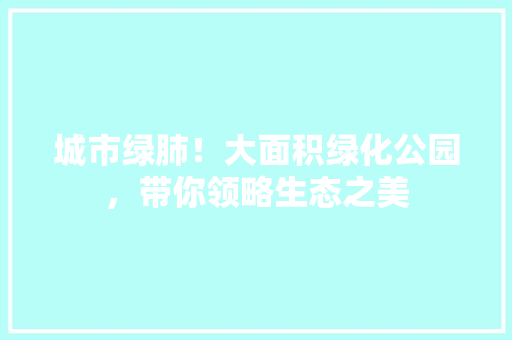 城市绿肺！大面积绿化公园，带你领略生态之美
