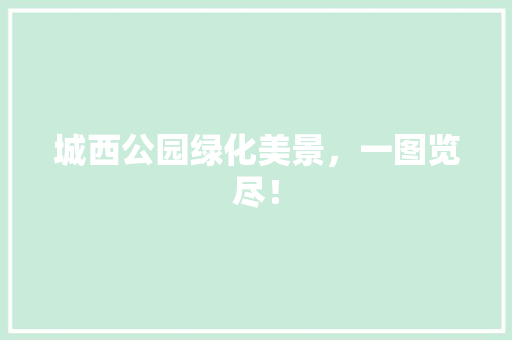 城西公园绿化美景，一图览尽！