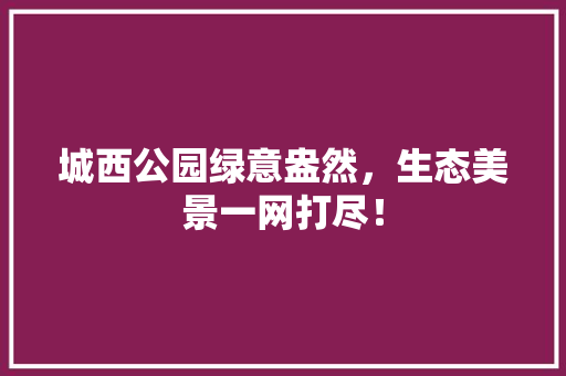 城西公园绿意盎然，生态美景一网打尽！