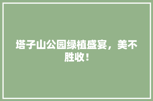 塔子山公园绿植盛宴，美不胜收！
